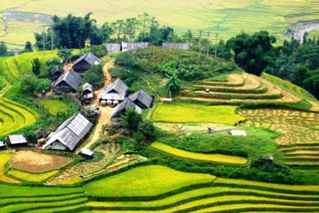 ĐÀ NẴNG – HÀ NỘI – LÀO CAI – SAPA – ĐIỆN BIÊN – HÀ NỘI – ĐÀ NẴNG