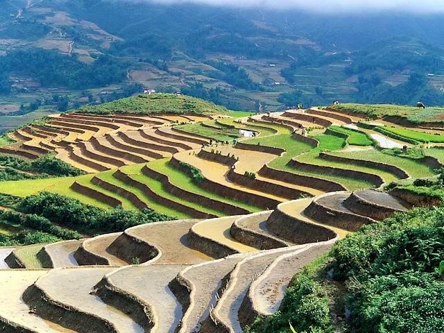 ĐÀ NẴNG  - YÊN TỬ - HÀ NỘI – SA PA – HẠ LONG – ĐÀ NẴNG   