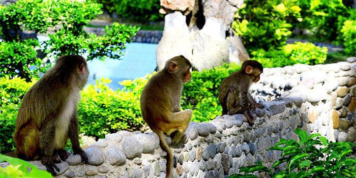Đà Nẵng – Nha Trang – Đà Nẵng