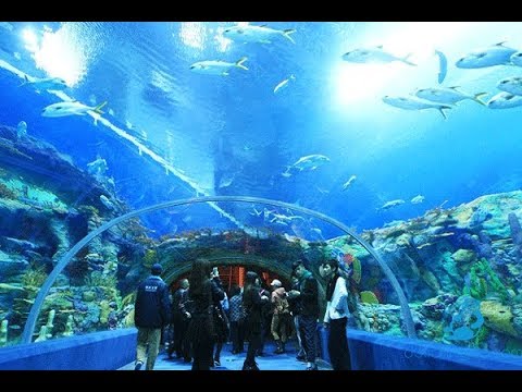 ĐÀ NẴNG – NHA TRANG – BÌNH DƯƠNG – BẾN TRE – CẦN THƠ – TP HỒ CHÍ MINH – ĐÀ NẴNG