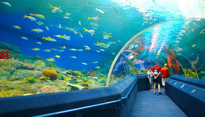 ĐÀ NẴNG – NHA TRANG – BÌNH DƯƠNG – CẦN THƠ – CHÂU ĐỐC – BẾN TRE – TP HỒ CHÍ MINH – ĐÀ NẴNG