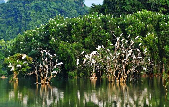 ĐÀ NẴNG – NHA TRANG – MỸ THO – BẾN TRE – CÀ MAU – CẦN THƠ –  TP HỒ CHÍ MINH – ĐÀ NẴNG