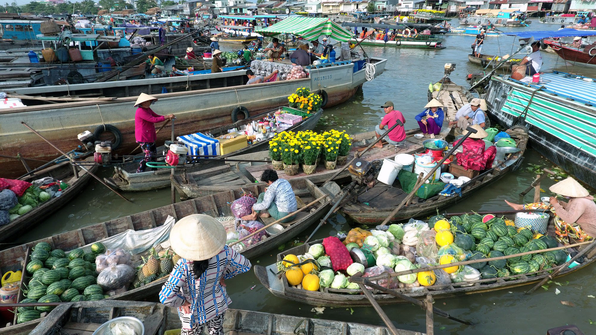 Đà Nẵng - Nha Trang - Bình Dương - Cần Thơ – Hà Tiên - Long Xuyên - Châu Đốc -  Hồ Chí Minh -  Bến Tre Kiên Giang - Cần Thơ - Đà Nẵng