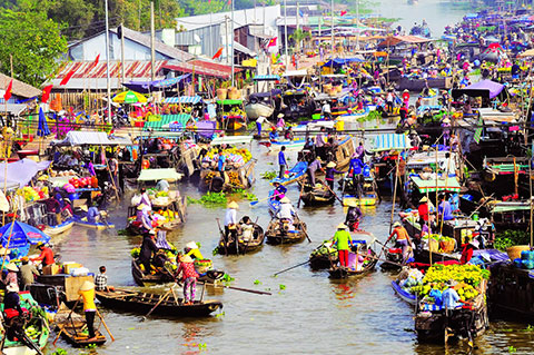 ĐÀ NẴNG – BÌNH DƯƠNG – BẾN TRE – CẦN THƠ – HCM – ĐÀ NẴNG
