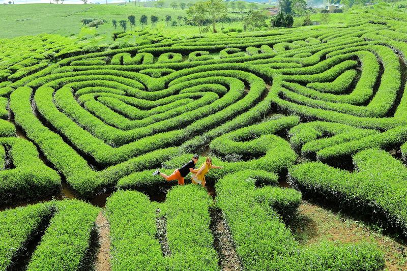 ĐÀ NẴNG – HÀ NỘI – MỘC CHÂU – HÒA BÌNH – ĐÀ NẴNG
