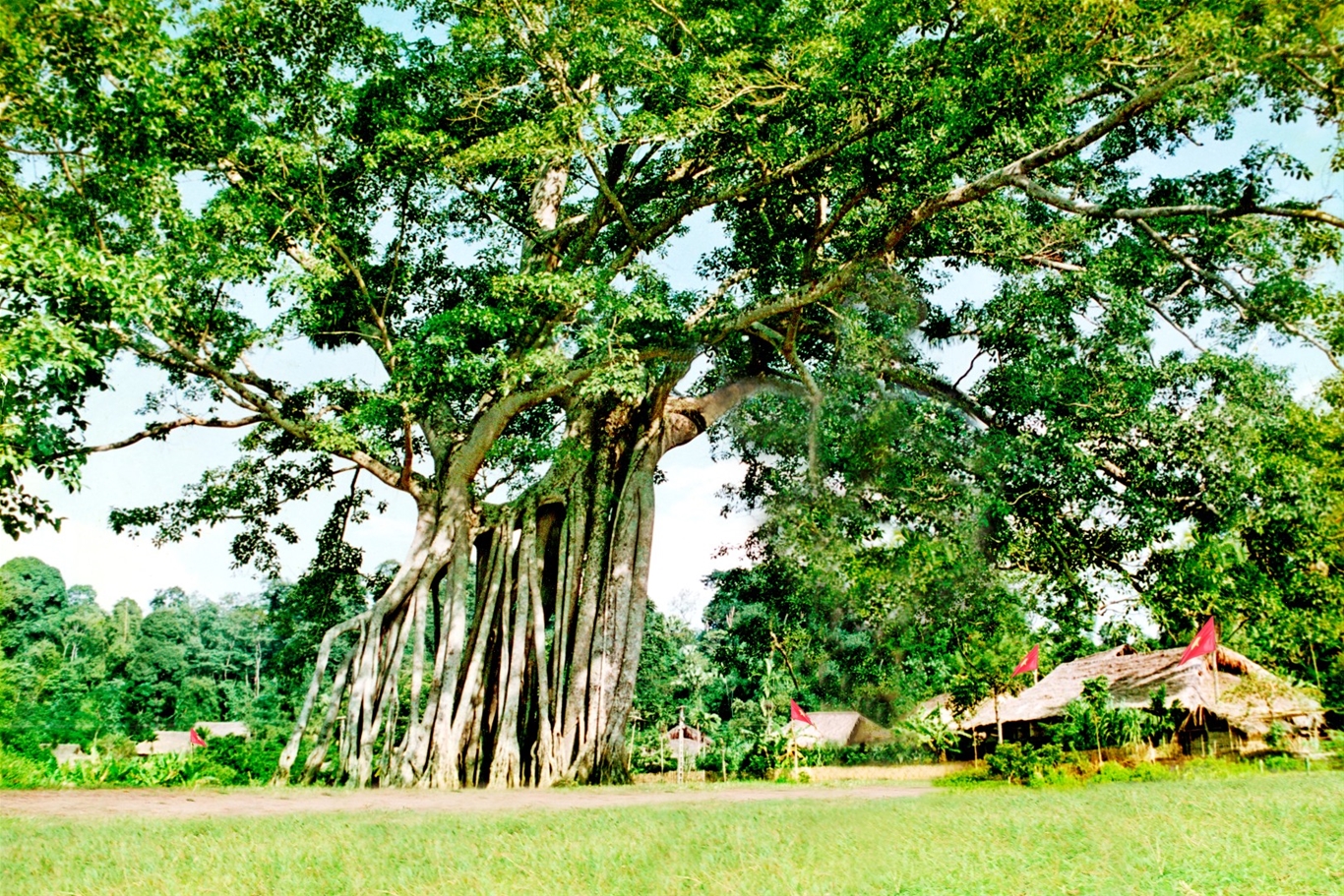 HÀNH TRÌNH THEO DẤU CHÂN BÁC (ĐÀ NẴNG - VINH - TUYÊN QUANG - BẮC CẠN - CAO BẰNG - HÀ NỘI – ĐÀ NẴNG)