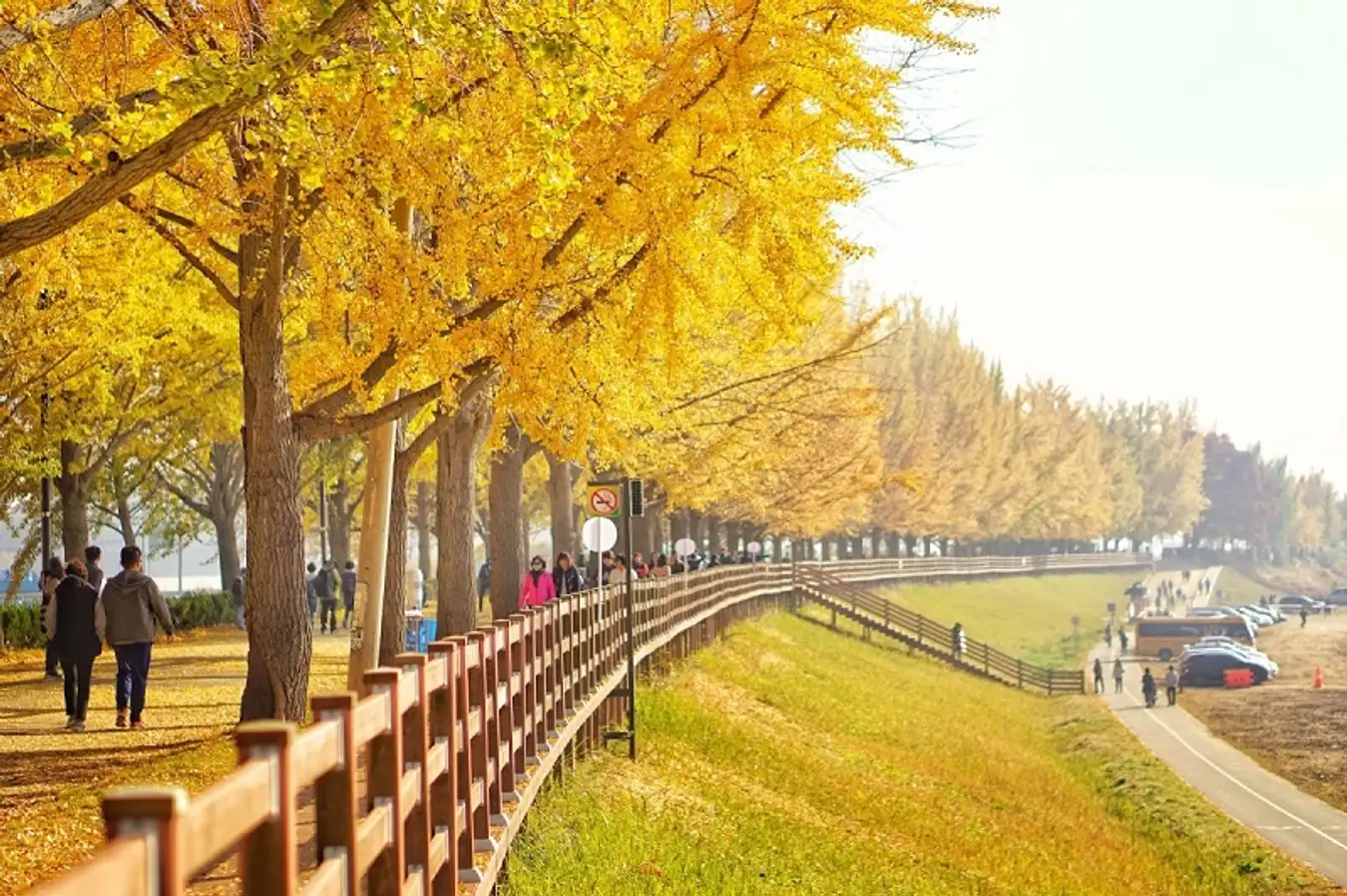 MÙA THU HÀN QUỐC (SEOUL – ĐẢO NAMI – EVERLAND – STARFILDE)