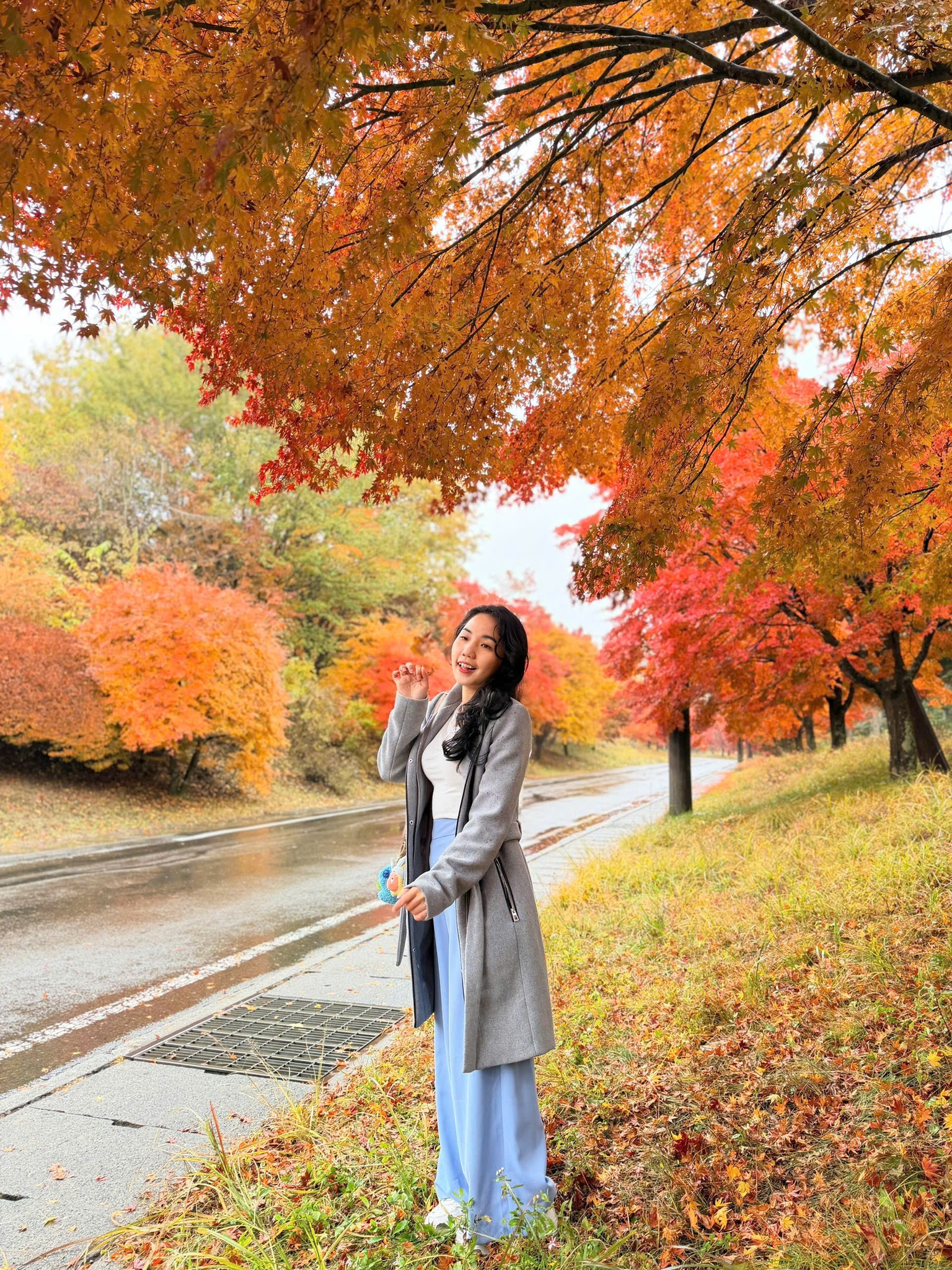 TOKYO – NÚI PHÚ SĨ – HANKONE - DISNEYLAND