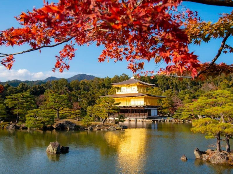 TOKYO – NÚI PHÚ SĨ – HANKONE - DISNEYLAND