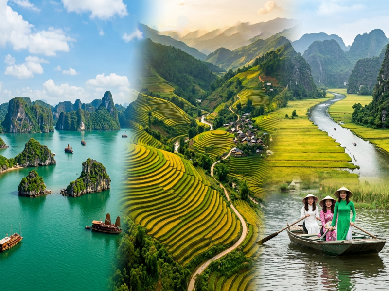 Trong nước